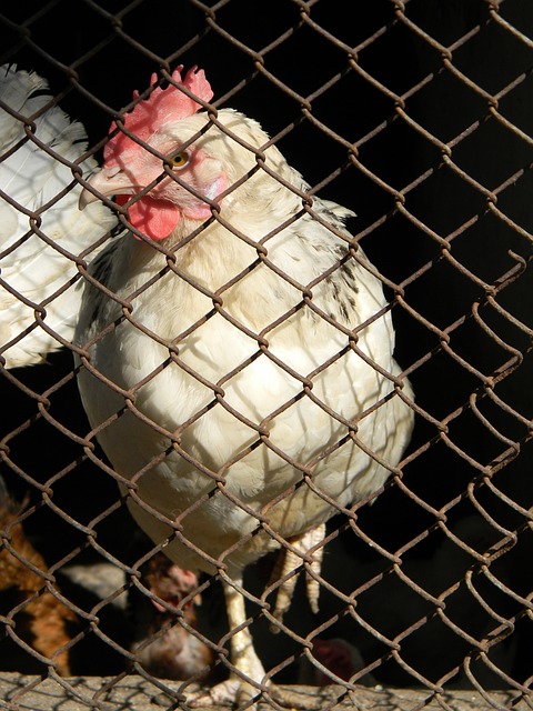 8-2背后惊心动魄！国乒六连胜险象环生，勒布伦兄弟如何撕开中国队防线？