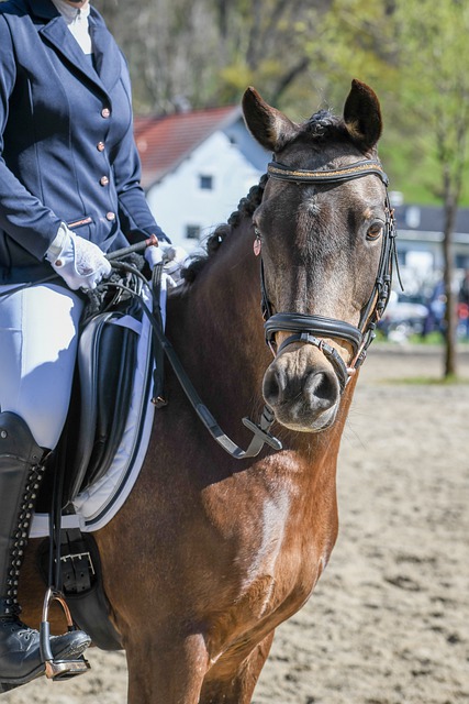 伦敦足球：新球探来投，阿森纳可瞄准意甲“过人王”阿塔