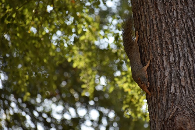 战塞尔塔助攻梅开二度，拉什福德7次助攻领跑西甲助攻榜