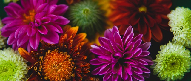 紧急峰会：哈维·阿隆索与齐达内和克洛普的最后机会