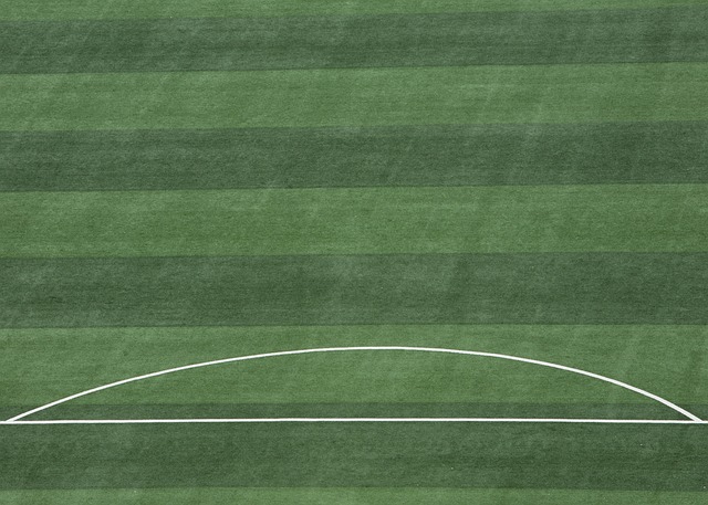 杨瀚森五项数据挂零，格兰特19罚35+4+4，开拓者送残阵雄鹿5连败